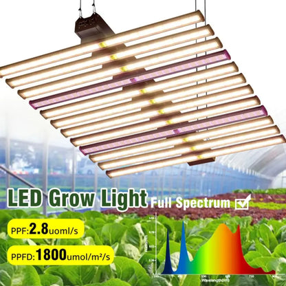 Barres LED suspendues avec lumière blanche et violette, éclairant un espace de culture de plantes vertes