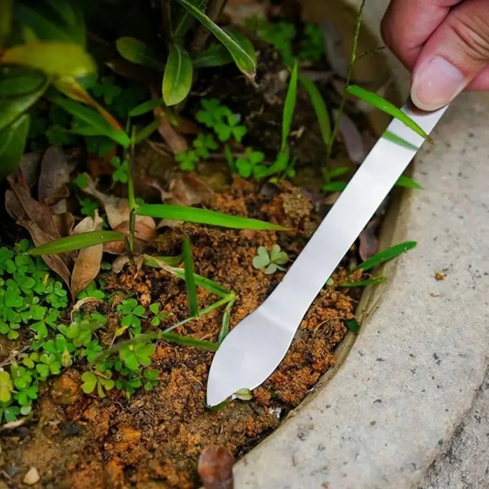 Outil en métal argenté inséré dans un sol riche en terre et petites plantes vertes