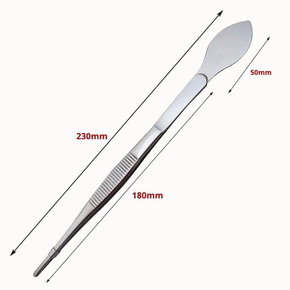 Pince-spatule en métal argenté avec une partie plate et une partie arrondie, surface lisse et brillante