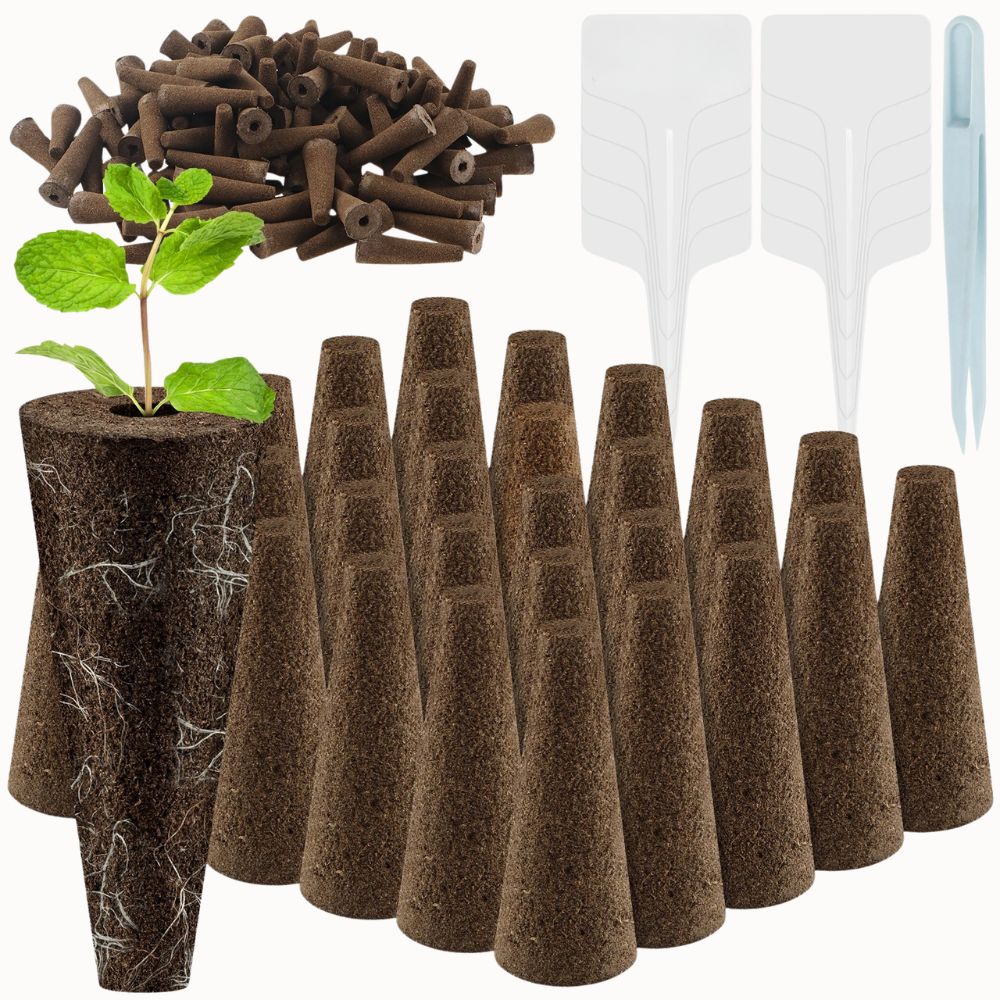 Éponges biochar en forme de cône, plante verte émergeant d'un support brun, outils de jardinage en plastique blanc