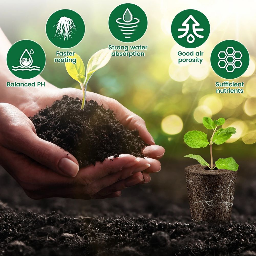 Main dans la terre noire avec une jeune plante verte et un pot en matière naturelle à côté