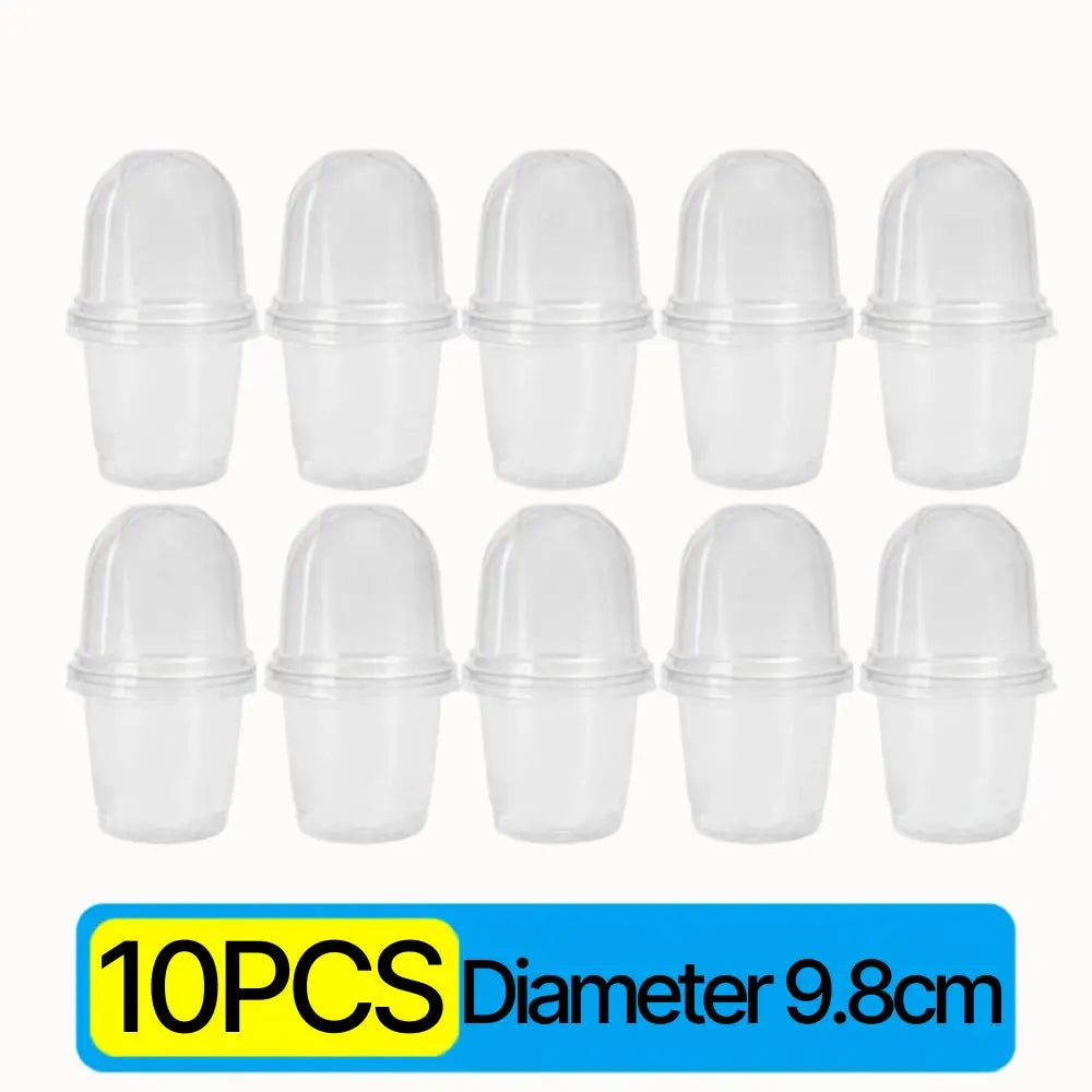 Dix pots de germination transparents empilés, avec des couvercles arrondis et une finition lisse