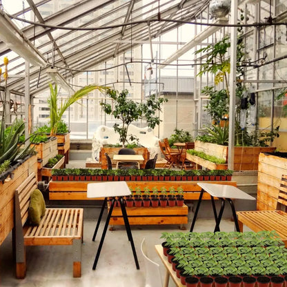 Intérieur d'une serre avec des tables en bois, des pots de plantes vertes et des bancs en bois
