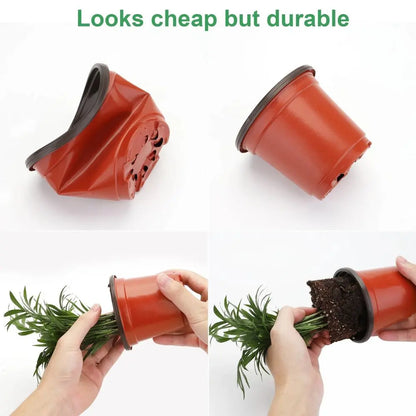 Pot de germination en plastique rouge avec un fond texturé et une plante verte en terre visible