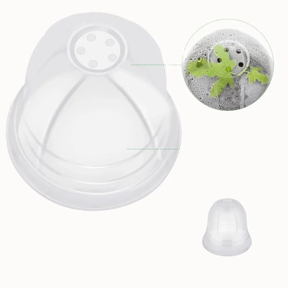 Pot de germination transparent avec un couvercle, montrant des racines et des feuilles vertes en croissance