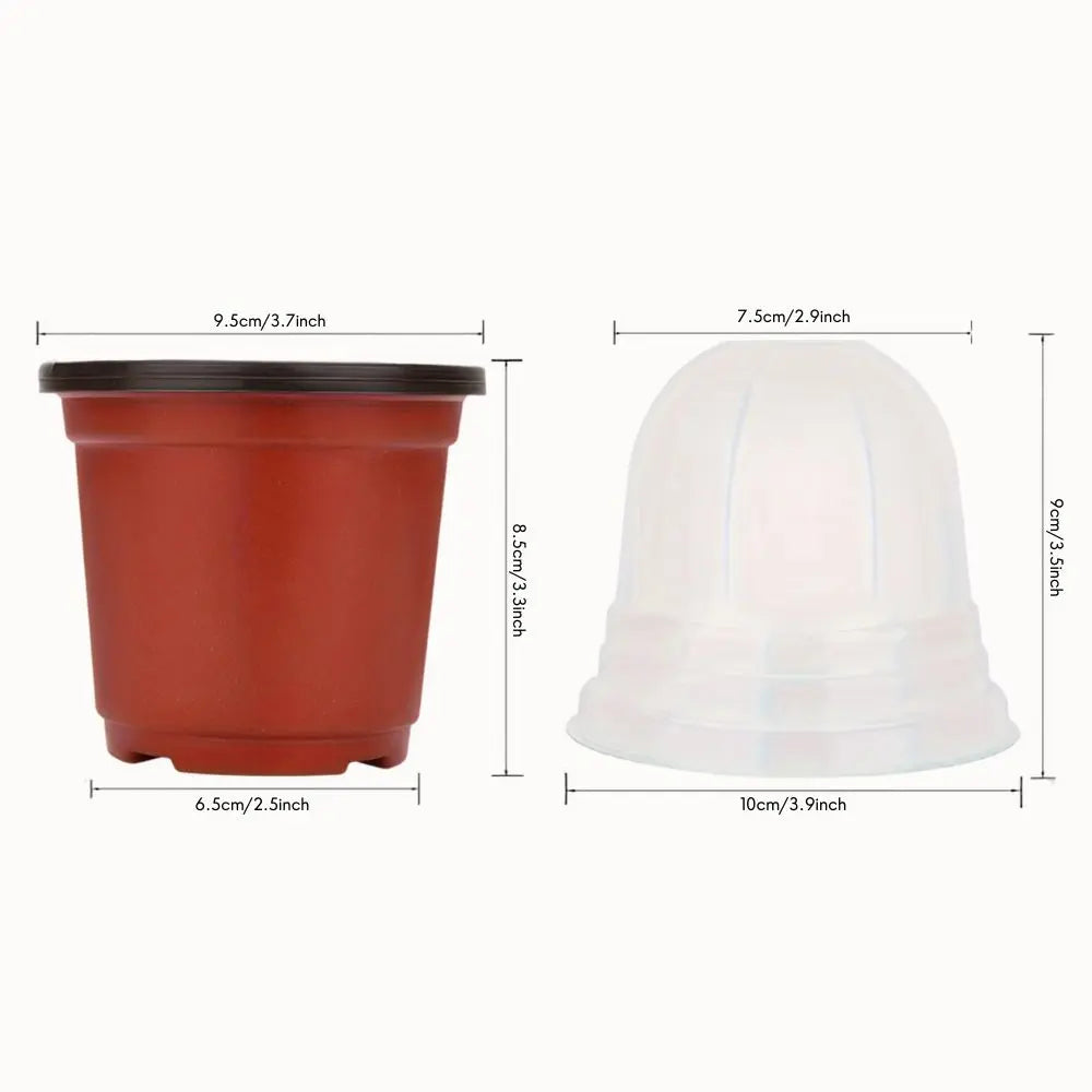 Pot de germination en plastique rouge avec couvercle transparent, forme cylindrique et surface lisse