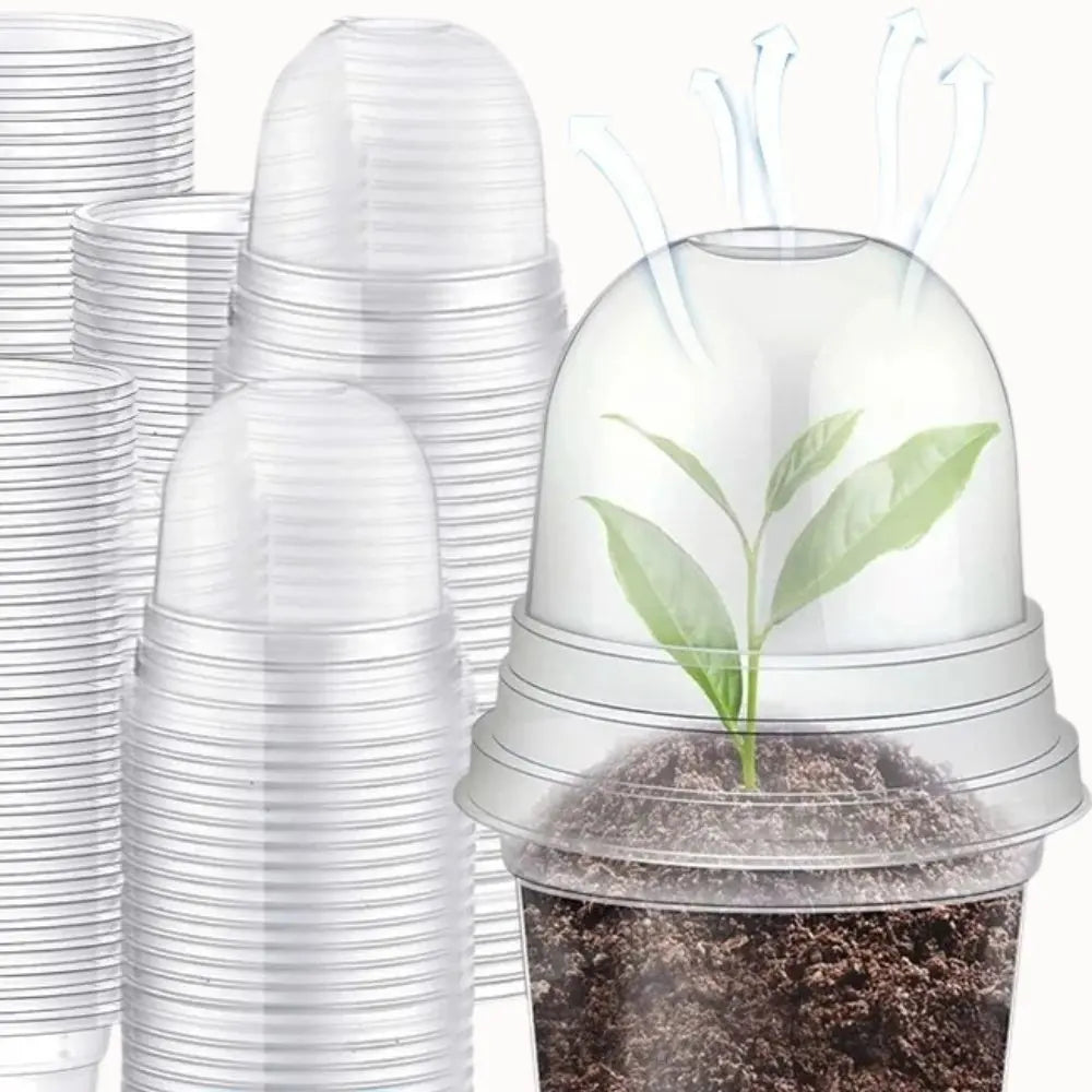 Pot horticole transparent avec dôme d'aération, terreau visible et jeune plante verte à l'intérieur