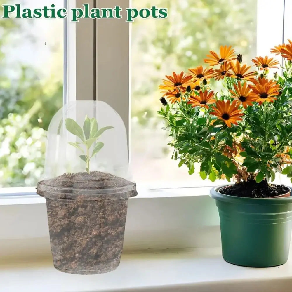 Pot horticole transparent avec dôme d'aération, contenant une plante verte et des fleurs orange