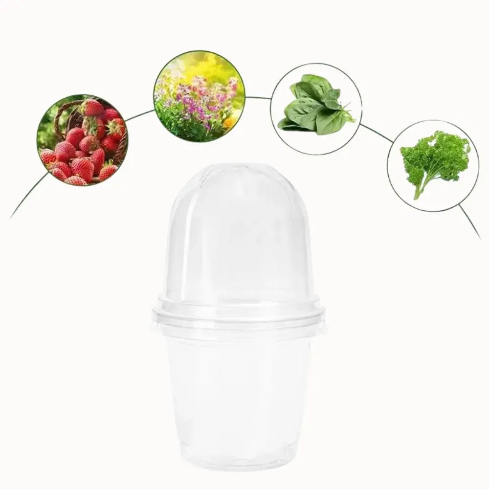 Pot horticole en plastique transparent avec un couvercle, forme cylindrique et surface lisse