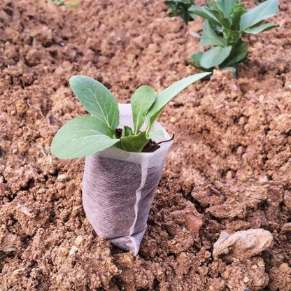 Un pot horticole en tissu gris avec une jeune plante verte sur un sol brun et meuble