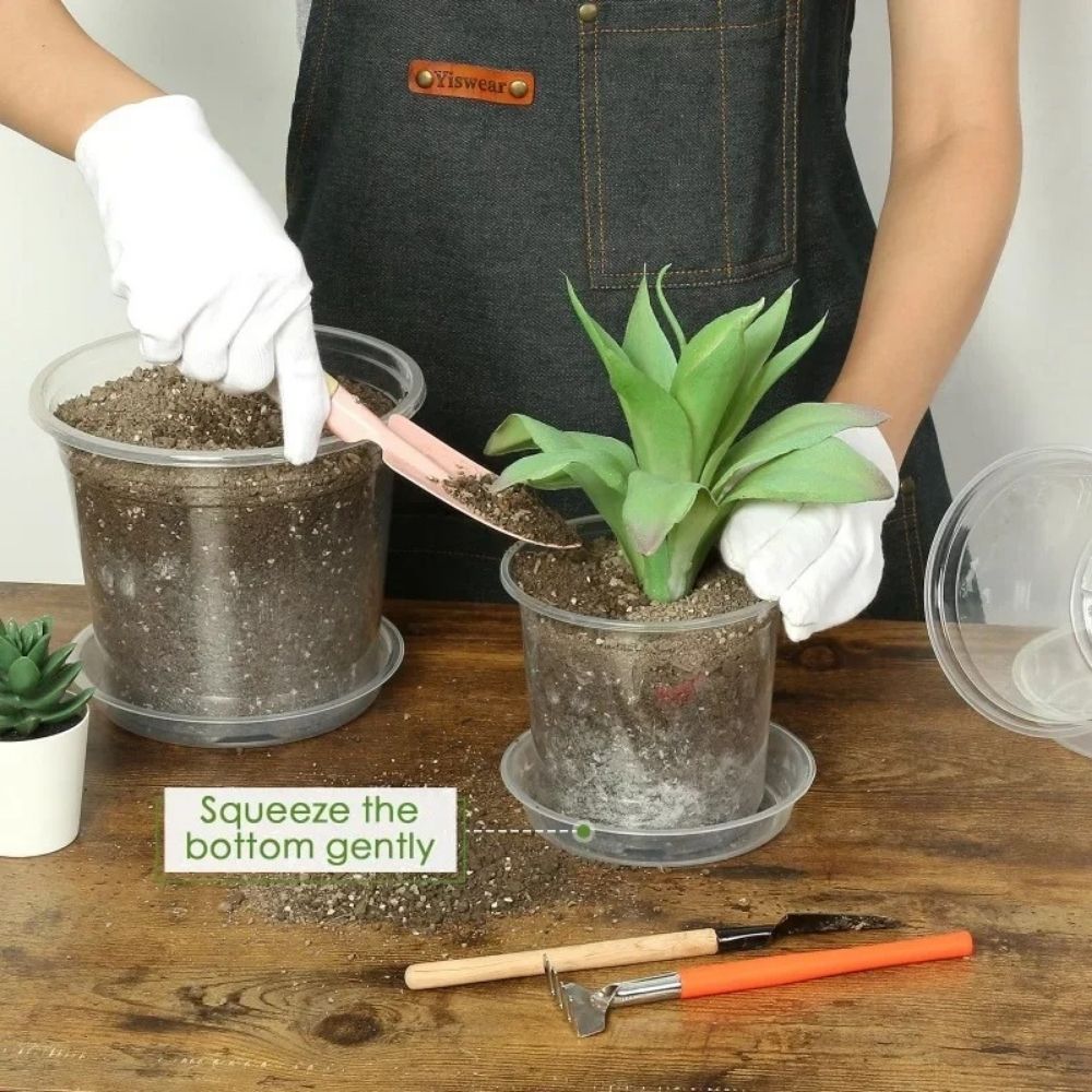 Un pot horticole transparent rempli de terre, avec une plante verte et des outils de jardinage en bois