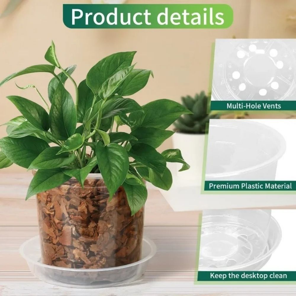 Pot horticole transparent avec plante verte, terreau brun et soucoupe blanche en plastique