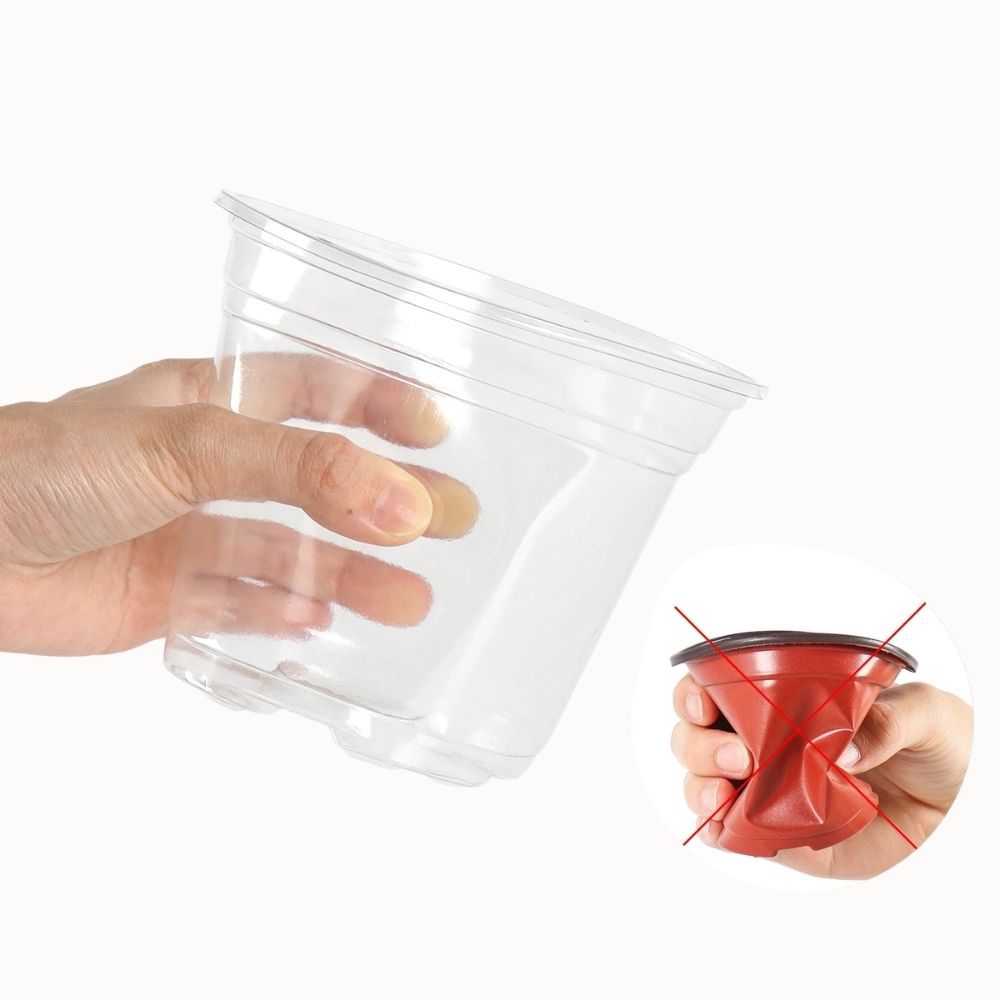 Main tenant un pot horticole transparent en plastique avec un couvercle rouge sur le côté