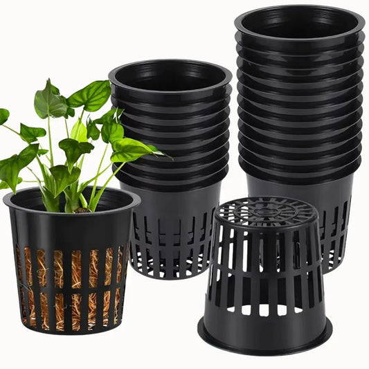 Ensemble de pots en plastique noir pour culture hydroponique avec racines visibles et feuillage vert