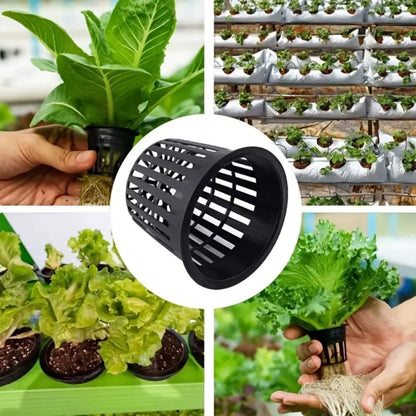 Panier de culture noir en plastique avec des feuilles vertes et des racines visibles