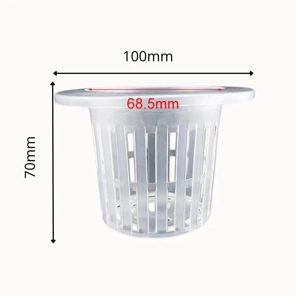 Panier hydroponique en plastique transparent avec des fentes verticales et un bord rond blanc