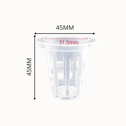 Paniers en plastique transparent avec des perforations pour la culture hydroponique, forme cylindrique et couleur blanche