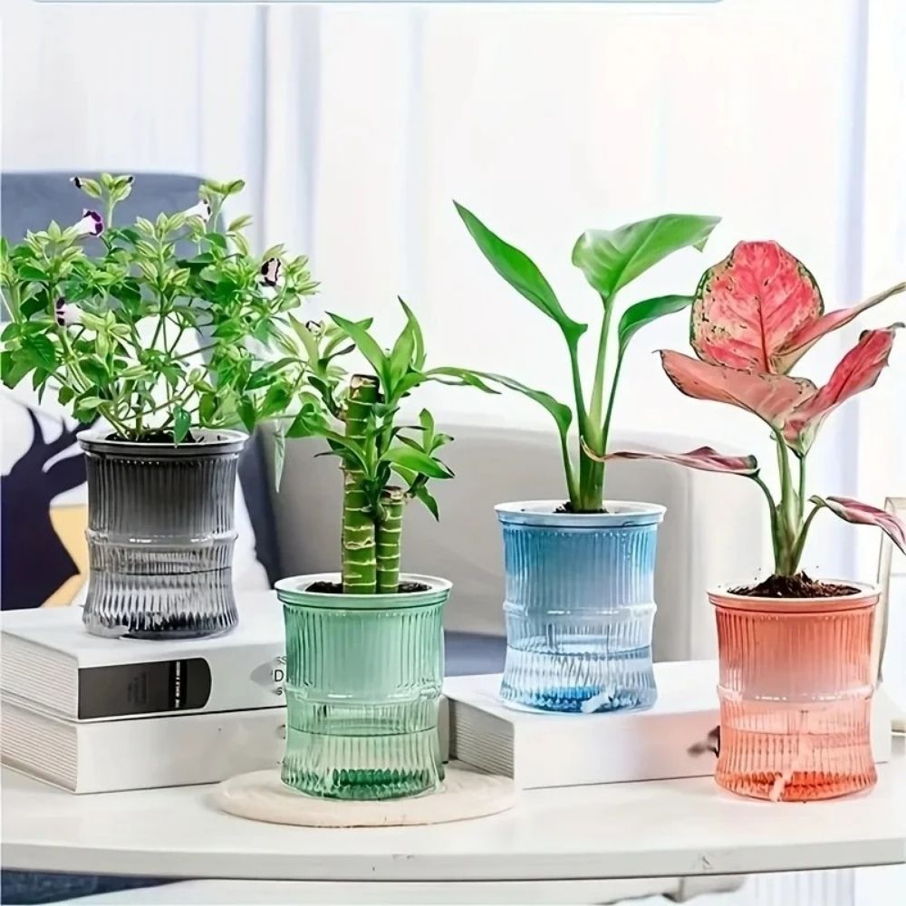 Vases en plastique coloré avec plantes vertes, disposés sur une table blanche et décor moderne