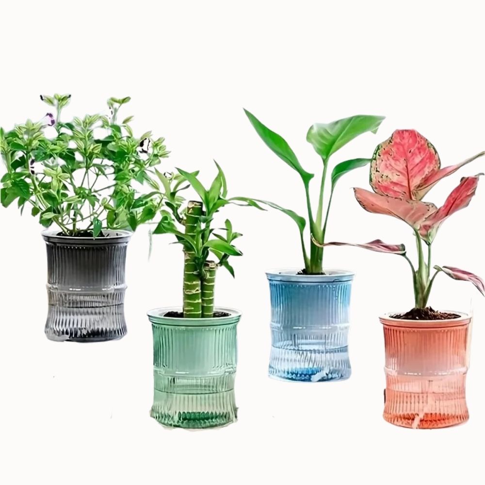 Quatre pots intérieurs en plastique transparent avec des plantes vertes et colorées, disposés sur un fond neutre