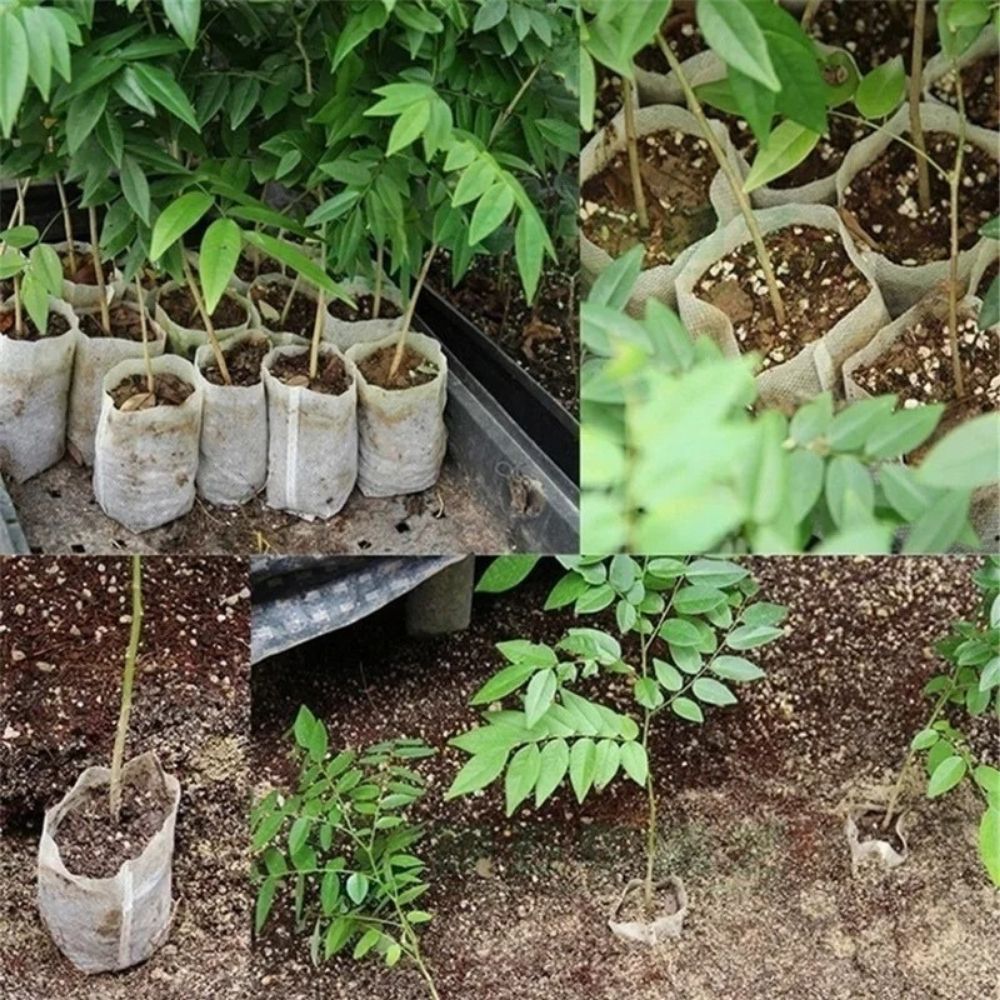 Sac en tissu beige pour plants de tomates, avec terre et jeunes pousses vertes visibles
