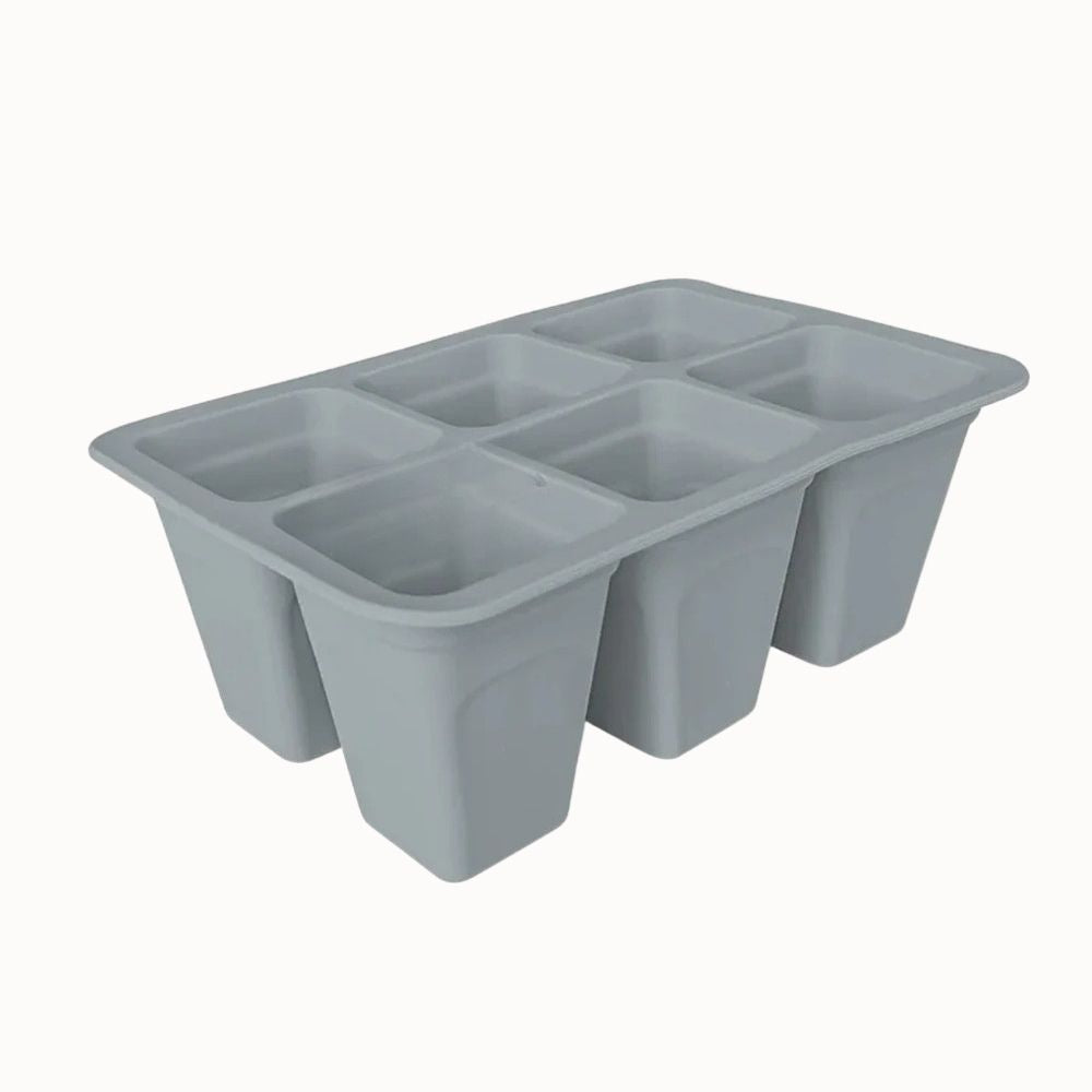 Plateau en silicone gris avec six cellules rectangulaires pour le semis de plantes