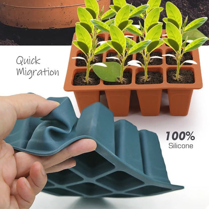 Plateau en silicone bleu avec six cellules contenant des plants verts sur un fond neutre