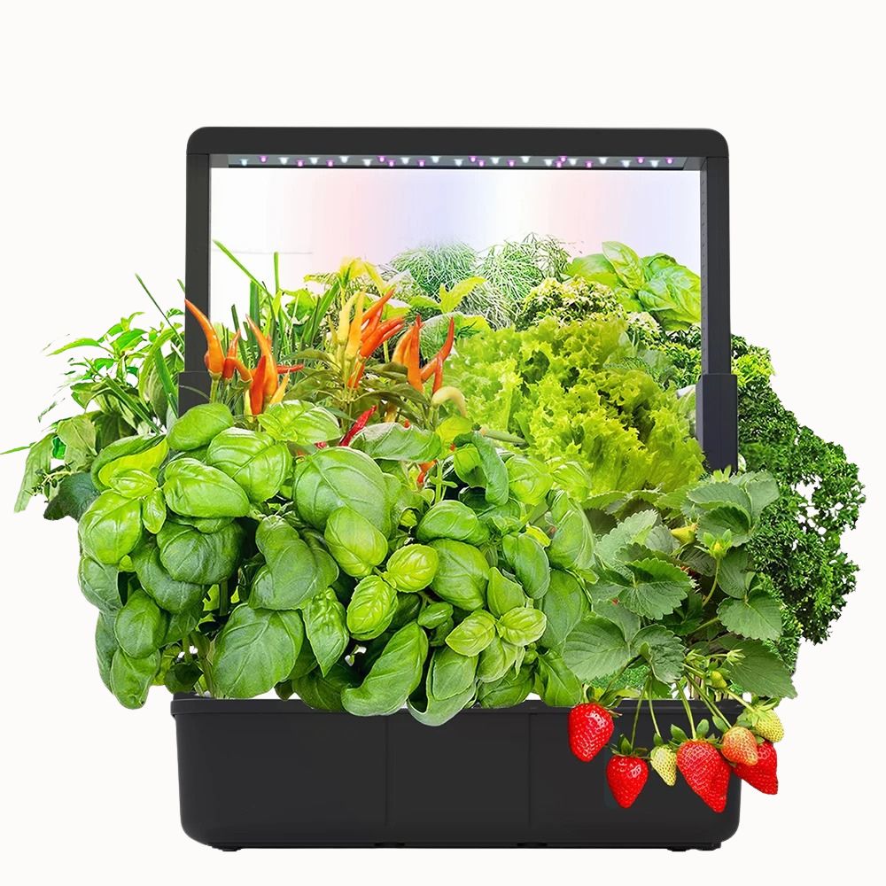 Système hydroponique avec des plantes vertes, des fraises rouges et des feuilles de laitue fraîches