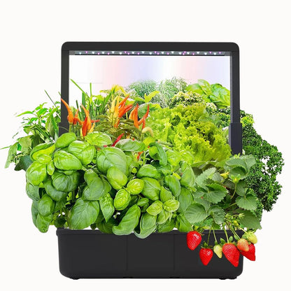 Système hydroponique avec des plantes vertes, des fraises rouges et des feuilles de laitue fraîches