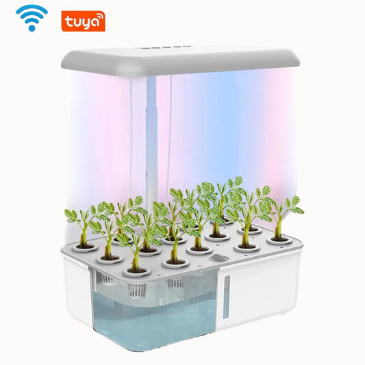 Potager d'Intérieur Connecté : Système 14 Plantes Arrosage Automatique