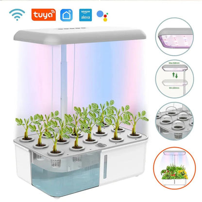 Potager d'Intérieur Connecté : Système 14 Plantes Arrosage Automatique