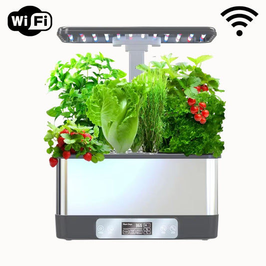 Potager d'intérieur avec des plantes vertes, tomates rouges et éclairage LED en haut