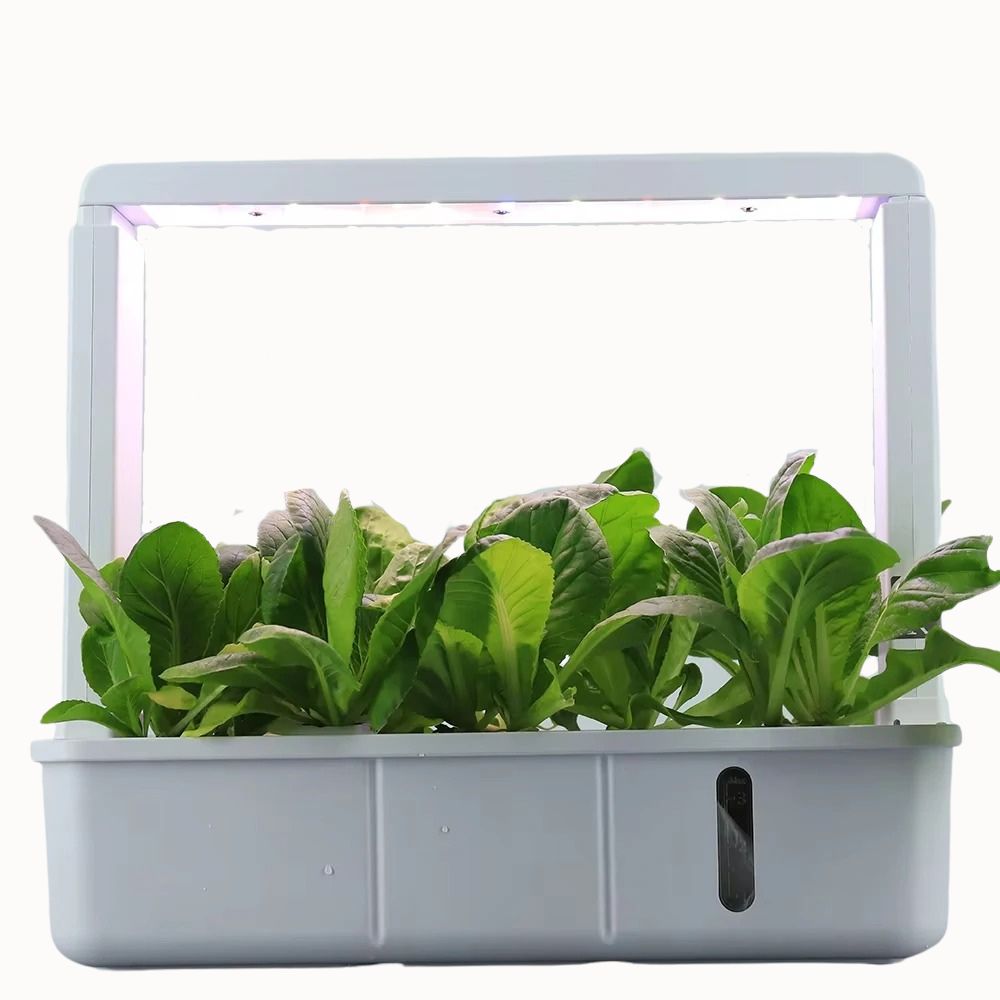 Un potager d'intérieur avec des plantes vertes luxuriantes dans un bac blanc et un éclairage LED supérieur