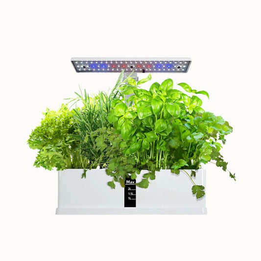 Un potager intérieur avec des plantes vertes luxuriantes sous une lumière LED colorée et un bac blanc