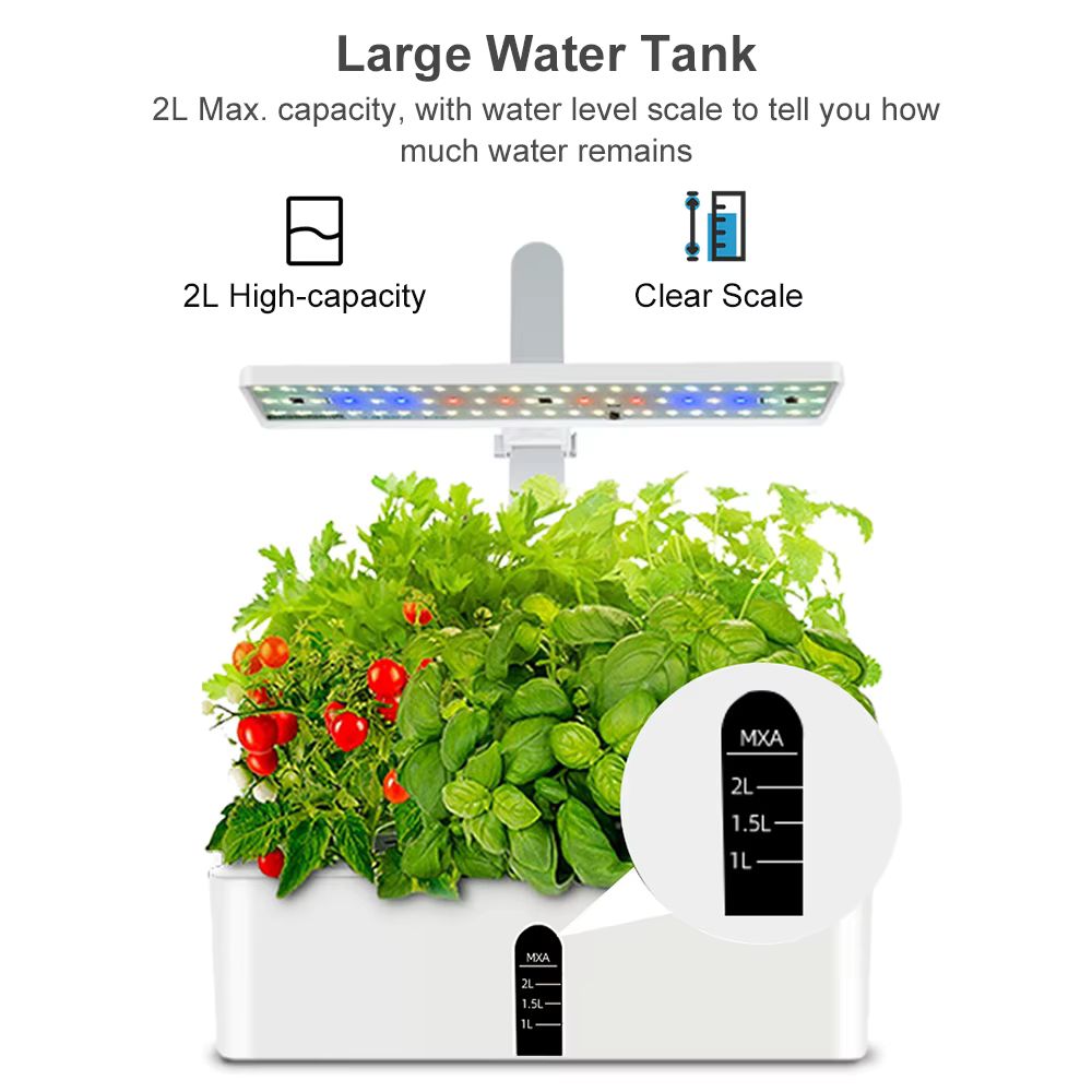 Système de culture intérieure avec plantes vertes, tomates rouges et lumière LED colorée au-dessus
