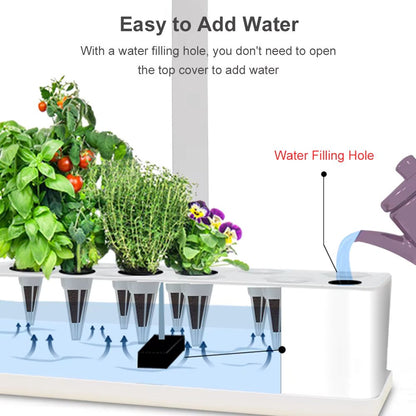 Système de culture avec neuf plantes vertes, réservoir d'eau et trous de remplissage visibles