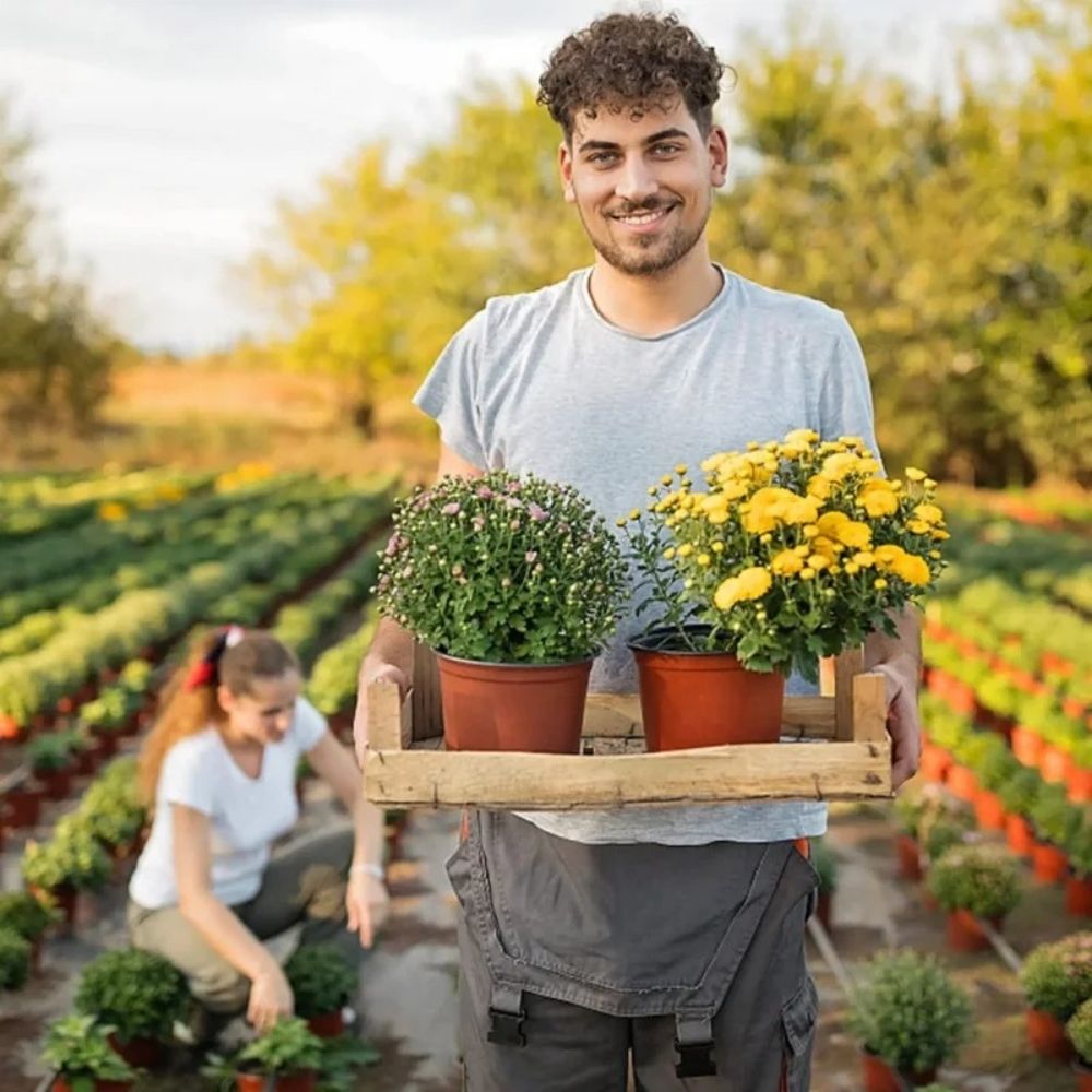 Un homme souriant porte une caisse en bois avec des pots de fleurs colorées et des plantes vertes
