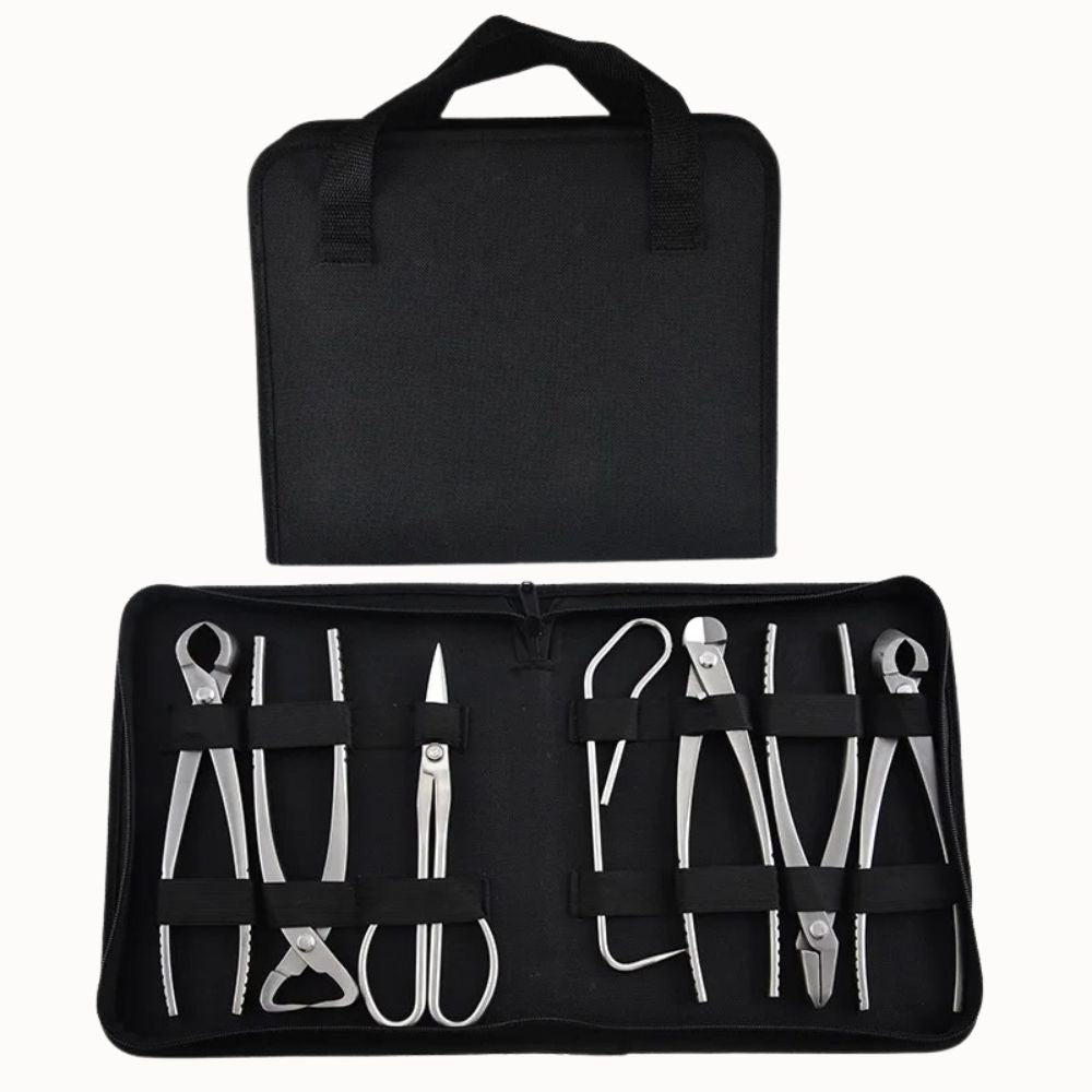 Kit d'outils de jardinage en acier inoxydable, rangé dans un étui noir avec des poches élastiques