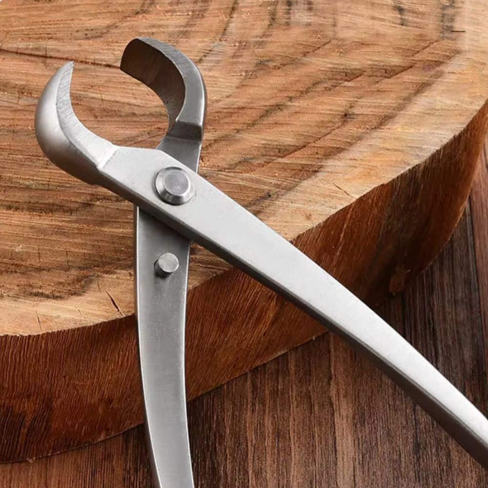 Sécateur en métal brillant posé sur une planche en bois avec un motif naturel visible