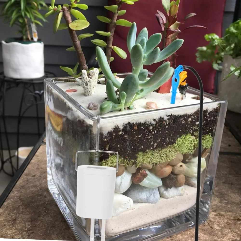 Vase en verre avec plantes variées, terre, gravier et système de goutte à goutte visible