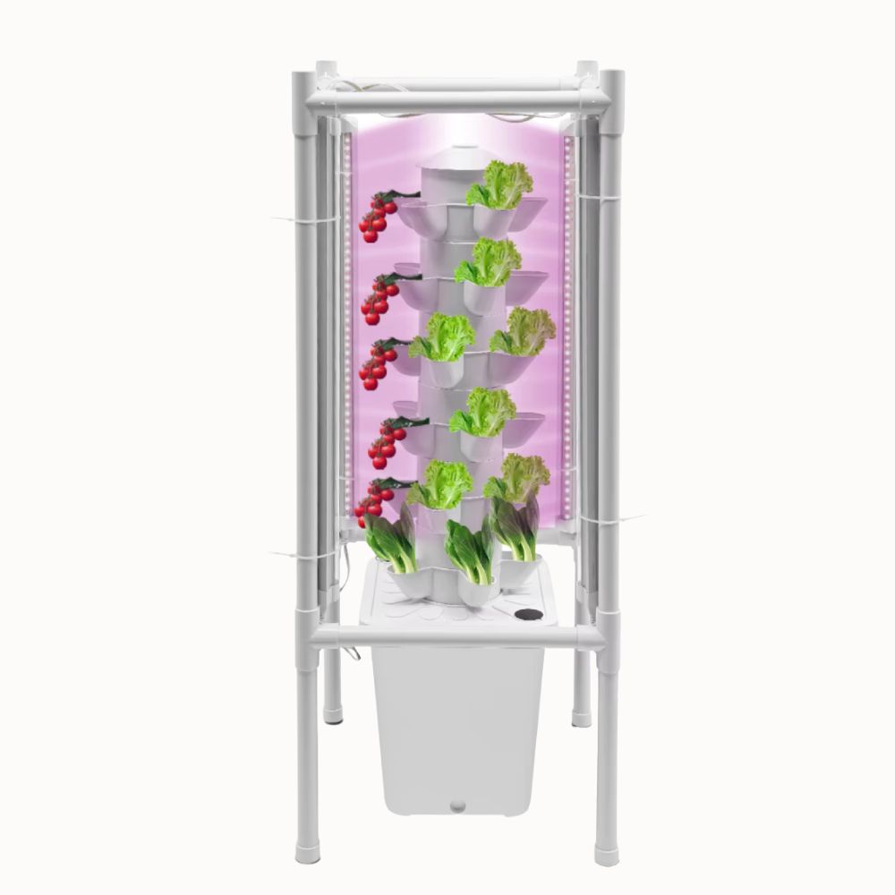 Système hydroponique vertical avec pots blancs contenant des laitues et des tomates rouges sous des lumières LED roses