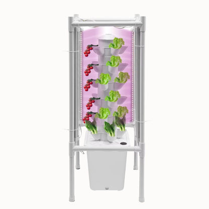 Système hydroponique vertical avec pots blancs contenant des laitues et des tomates rouges sous des lumières LED roses