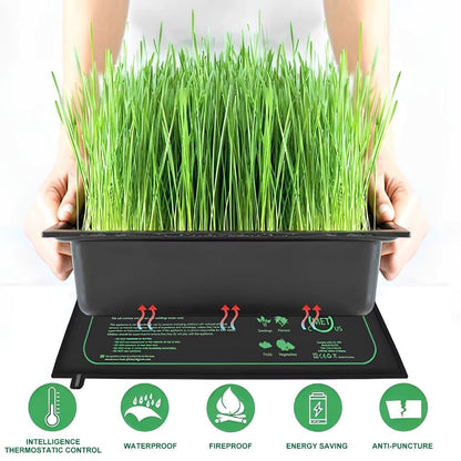 Tapis chauffant horticole avec un bac noir rempli de jeunes pousses vertes sur un fond blanc