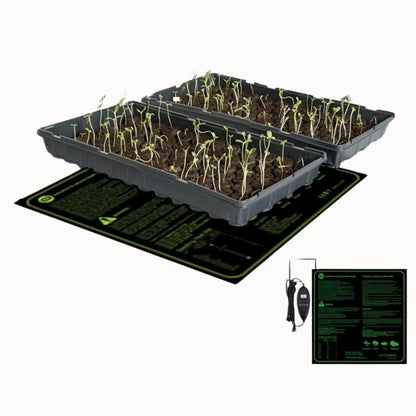 Tapis chauffant horticole avec thermostat sous des semis en terre dans des plateaux noirs