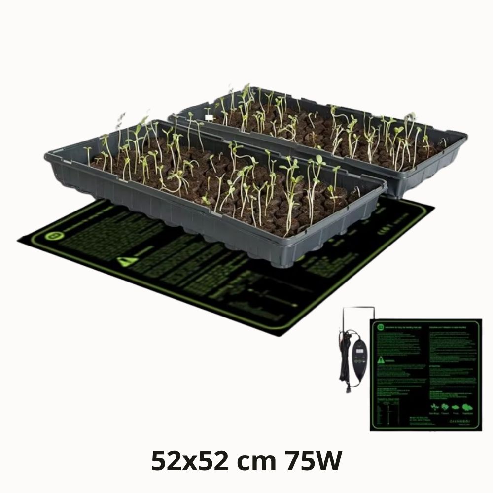 Tapis chauffant horticole 52x52 cm avec semis en terre dans des plateaux de culture