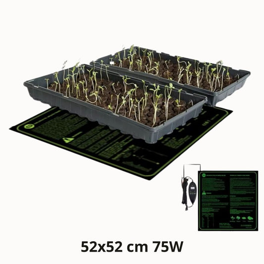 Tapis chauffant horticole 52x52 cm avec semis en terre dans des plateaux de culture