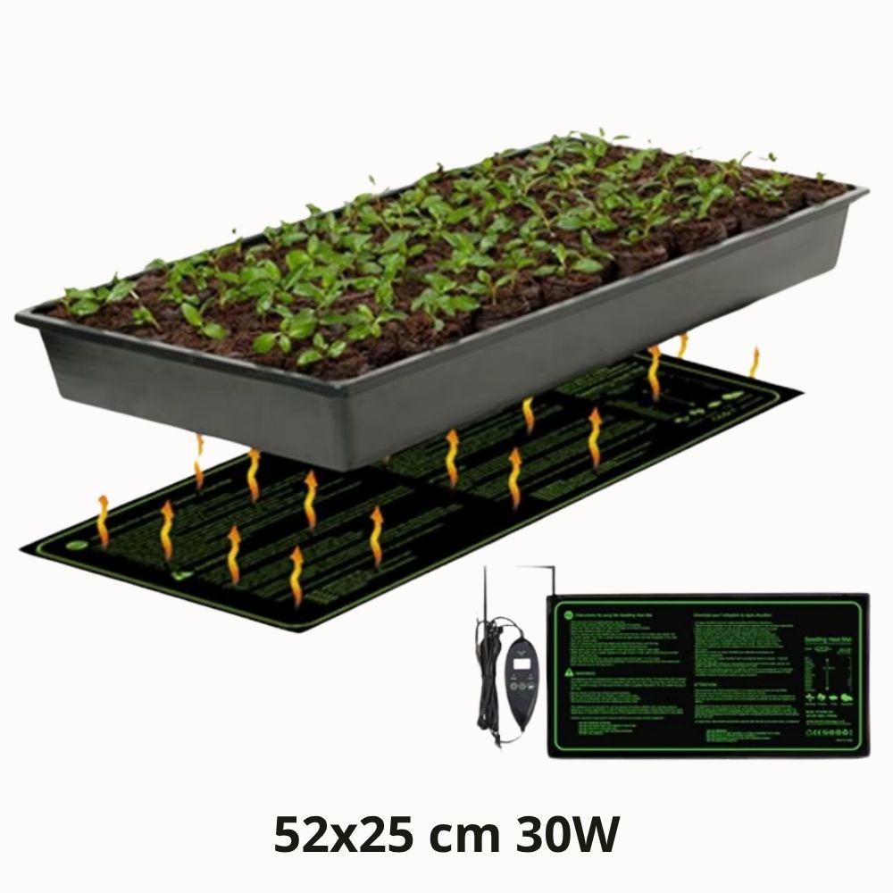 Tapis chauffant pour plantes avec thermostat digital, pot de culture rempli de jeunes pousses vertes