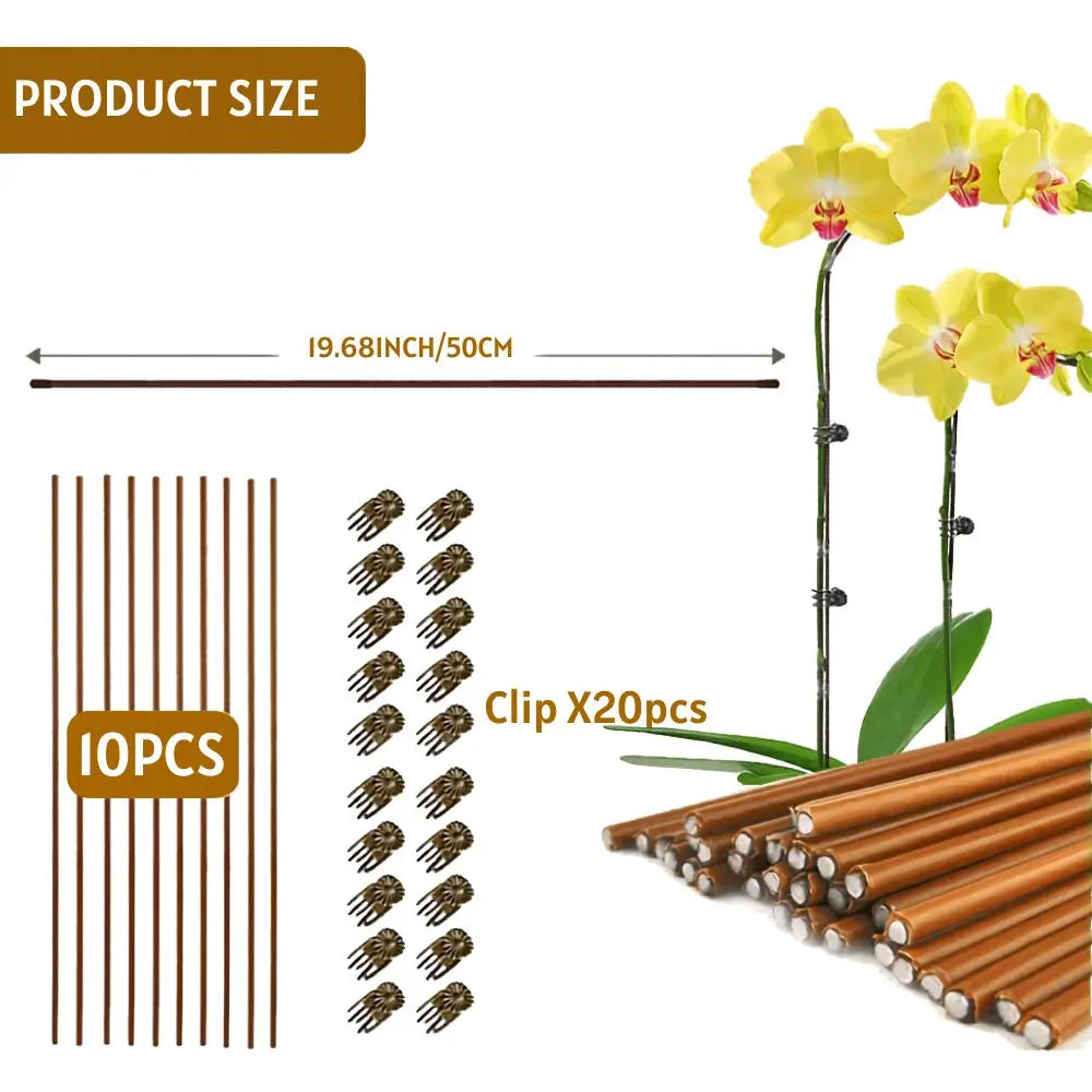 Tuteurs en métal pliable, couleur marron, avec clips et tiges pour soutenir des plantes d'intérieur