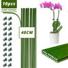 Tige pliable verte avec des fleurs violettes et des supports de plante en arrière-plan