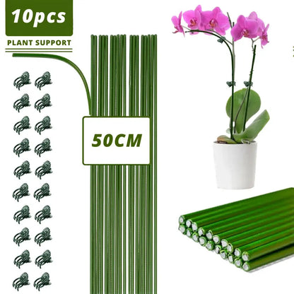 Tiges vertes pliables pour soutenir des plantes d'intérieur, avec des fleurs violettes en arrière-plan
