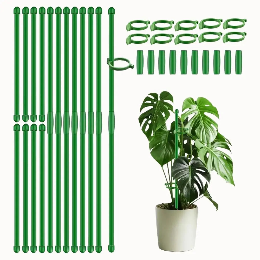Tuteurs en fibre de verre verts avec clips, accompagnés d'une plante Monstera dans un pot blanc